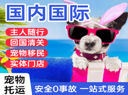 哈密伊州机场托运国际宠物托运 【国